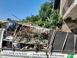 Professional Junk Removal Services in Brenham, TX